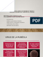 Virus de la Rubeola