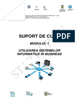 Modul-1_Utilizarea-sistemelor-informatice-in-business.pdf