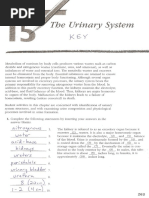 KEY_Urinary System Test Review_2013