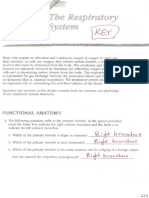 KEY - Respiratory System Review