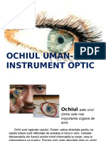 Ochiul