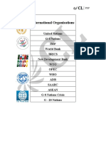 International Oranisations.pdf