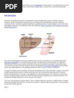 Download The Cori Cycle by linzel SN345623 doc pdf
