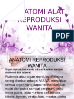 4. Anatomi Reproduksi Wanita