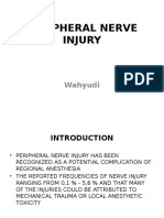 Pepripheral Nerve Injury