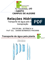 Aula - Relações Hídricas-Transporte de água pelo xilema e transpiração.ppt