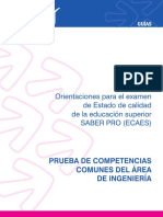 Guia_ingenieria2011.pdf