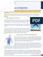 lungs-and-exercise-es.pdf