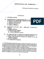 El Amparo Constitucional en Venezuela Dra Sanso PDF