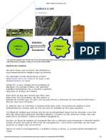 Bateria É Feita Com Madeira e Sal PDF