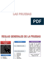 Las Pruebas PDF