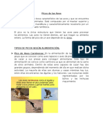 Picos de las Aves.docx