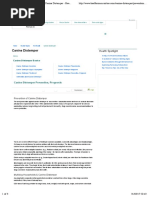 Canine Distemper Prevention, Prognosis - Canine Distemper - HealthCommunities