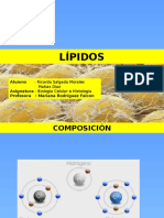 Presentación 1 LIPIDOS