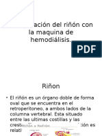 Comparación Del Riñón Con La Maquina de Hemodiálisis