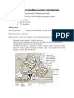 Histologi Alat Pendengaran (Apparatus Vestibulocochlearis)