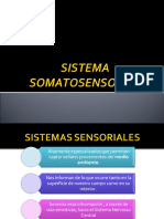 Sistema Somatosensorial