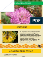 APIS MELLIFERA TOXICO 