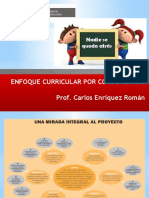 Enfoque Curricular Por Competencias 2017 Sute Santa