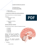 Resumen para El Examen de Neurologia Adulto