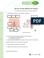 sistema reproductor femenino y masculino.pdf