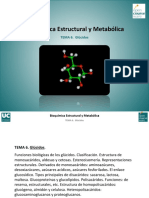 Tema 6. Glucidos - PROTEOGLICANOS.pdf