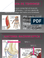 PARTES BLANDAS 02.pdf