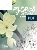 Flores Daca at Inga