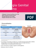 Histología Genital Femenino