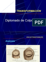 Zona de Transformación