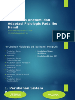 Ke 3 (Perubahan Anatomi & Adaptasi Fisiologis Pada Ibu Hamil)