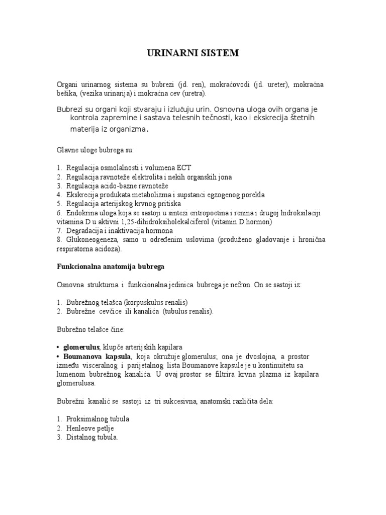 Urinarni Sistem | PDF