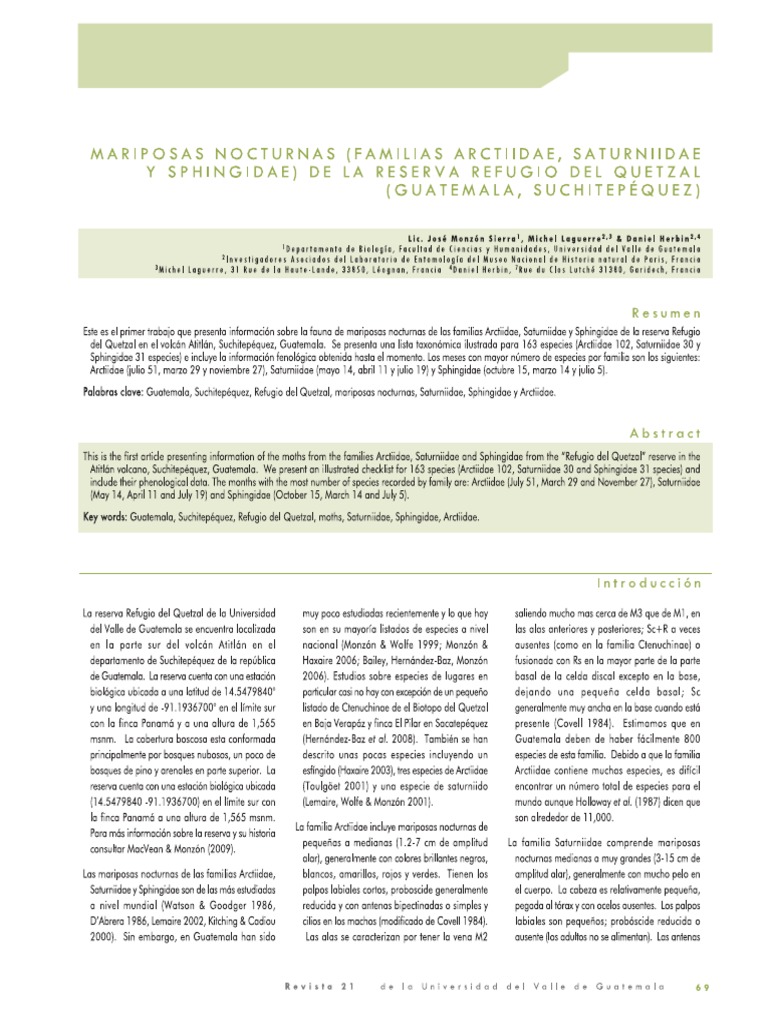 Image Result For Mariposas Nocturnas Tipos Caractersticas Y Hbitat