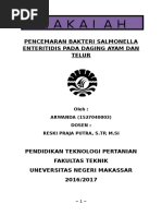 Download PENCEMARAN BAKTERI SALMONELLA ENTERITIDIS PADA DAGING AYAM DAN TELUR by Arwanda SN345755168 doc pdf