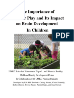 The Importance of Outdoor Play and Its Impact On Brain Develpoment in Children