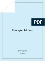 Xionisha Patologias Del Bazo