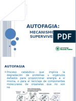 Autofagia