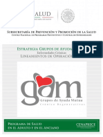 LineamientosGAM 2016 PDF