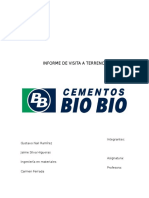 Informe Cementos Bio Bio