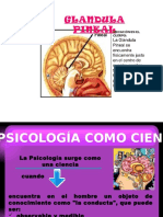 Psicología Como Ciencia