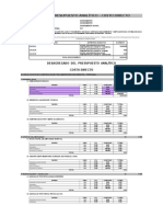 Presupuesto Analitico