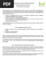 Estructura Operativa Del Mesmis
