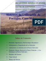 3.-Caso Sierra Incagro - Dr. Flores