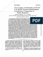 Nitrato Reductasa Ru+¡z Herrera.pdf