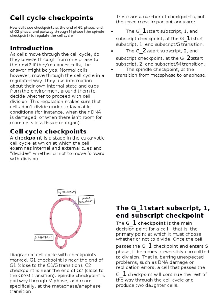 Cell Cycle Checkpoints PDF Cell Cycle Mitosis