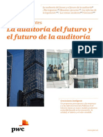 Informe Temas Candentes Auditoria PDF