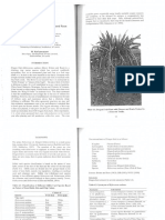 Dragon Fruit Cultivation PDF