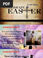 Bishops Homily - 2nd Sunday of Easter