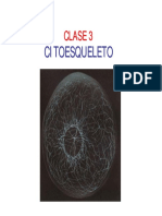 Clase 3 Bio034