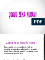 Çoklu Zeka